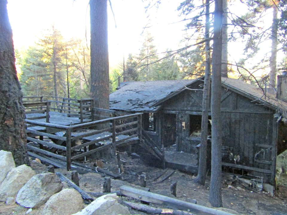 Burnt wooden cabin in forest at dusk