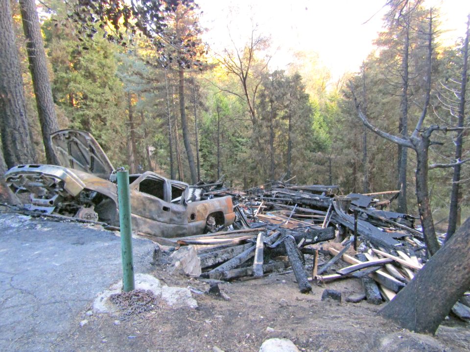 Burnt car and debris in forest after fire.