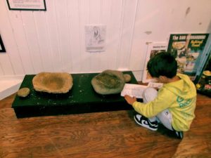One of the students learning how to use a metate. (Photo by Rhea-Frances Tetley)
