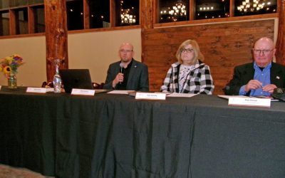 MUNICIPAL ADVISORY COUNCILS – Possible new configurations considered for MACs