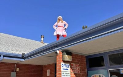 Elf on the shelf?