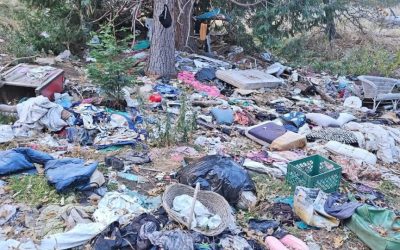 Successful Crestline cleanup of forest encampment