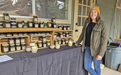 Visiting with the artisans of Green Valley Lake