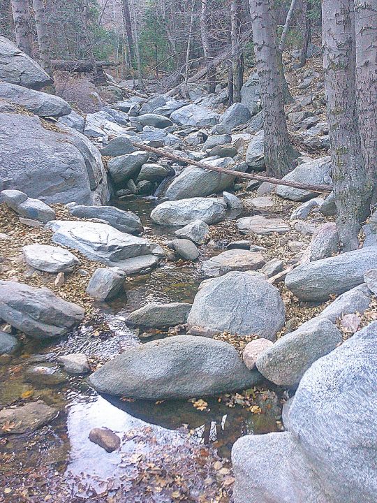 Seely Creek’s myriad boulders make its streambed one of the rockiest not only in the San Bernardino Mountains, but all of California.