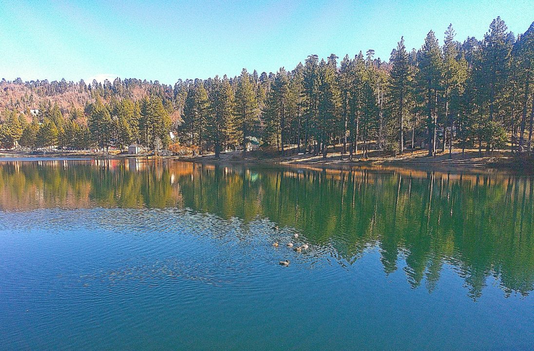 Viewed from the sturdy dam on a crisp and calm December afternoon, Green Valley Lake is a nine-acre mirror. (Photo by T. Wilcox) 