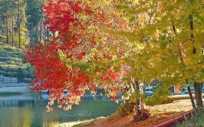 LET’S GO HIKING – Green Valley Lake