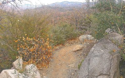 LET’S GO HIKING – North Shore Trail