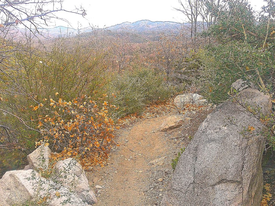 Adrianne, Lisa, Julia, Melissa and Adrianna from Glendora and Orange County enjoyed last year’s Brewfest at Tavern Bay Beach Club so much they couldn’t resist attending this year’s event. (Photos by Douglas W. Motley) Scenic mountain path with rocks and autumn foliage.