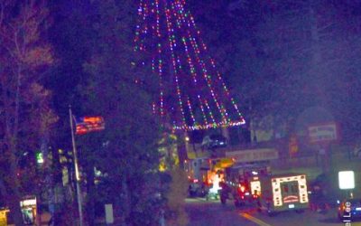 Lighting the tree and boosting spirits