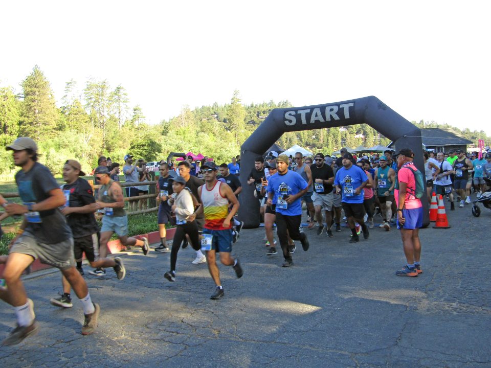 And they were off! The 45th annual Run Through the Pines drew hundreds of participants.