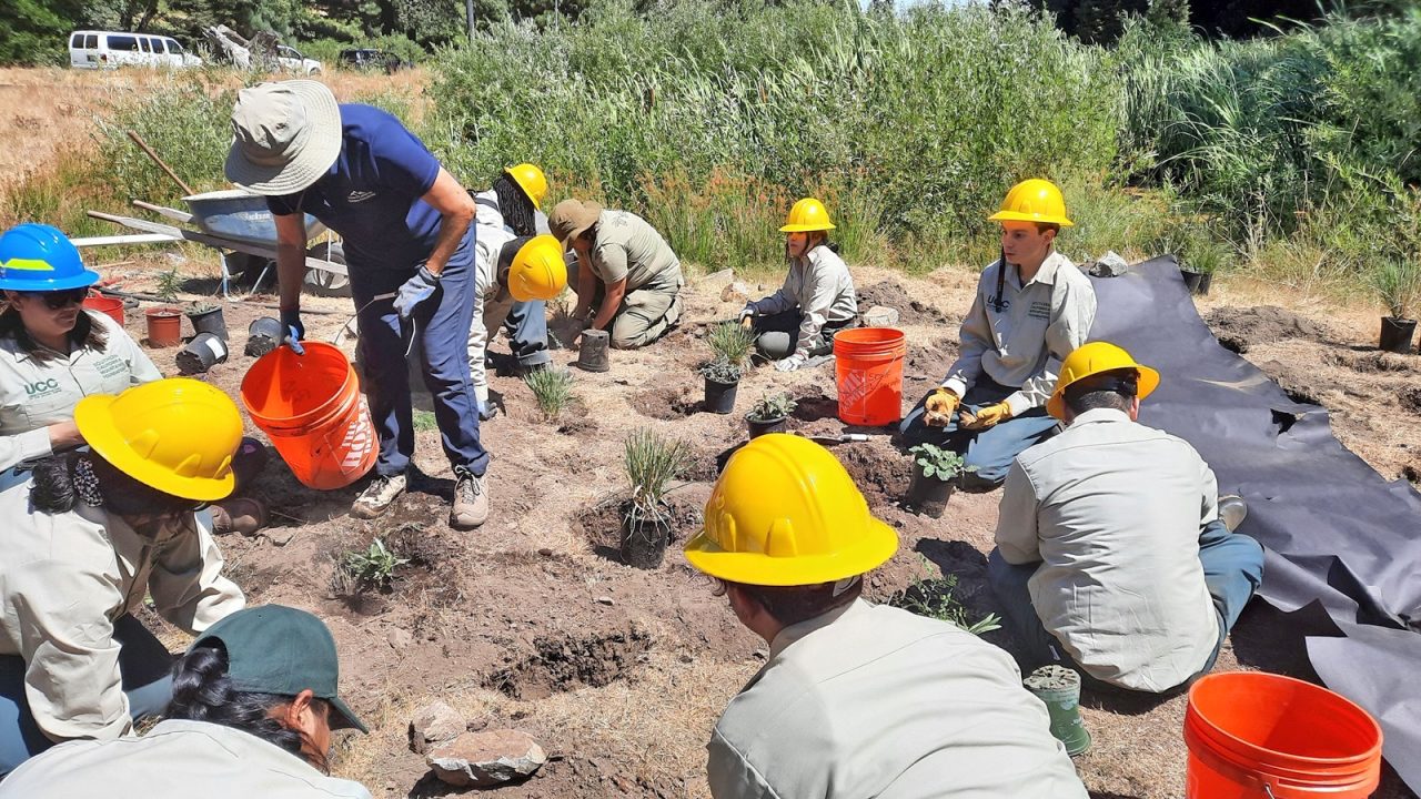 Volunteers rehabilitated the meadow at SkyPark at Santa’s Village by planting native plants.