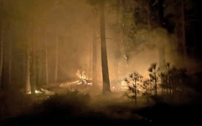 Stopping a fire in its tracks