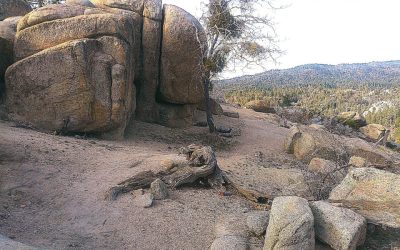 LET’S GO HIKING – Exploration Trail: Lower