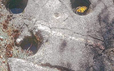 LET’S GO HIKING – Metate Trail