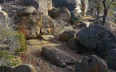 LET’S GO HIKING – Jim and Kathie Sims Trail