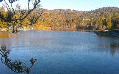 LET’S GO HIKING – Lake Gregory Trail
