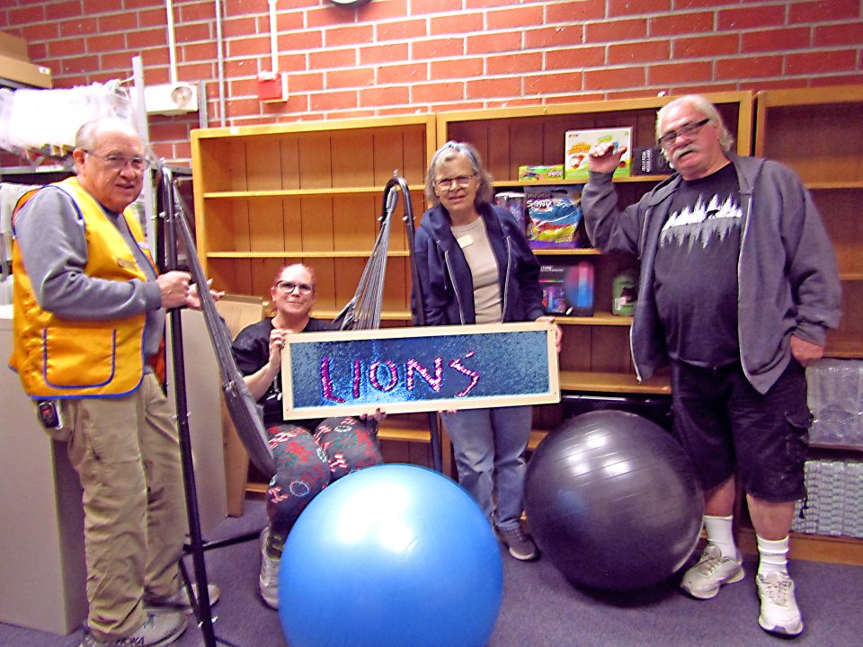 Group posing with exercise balls and Lions sign.