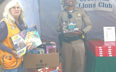 Lions end of year donation activity intensifies