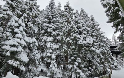 Fire danger is lessened but not over