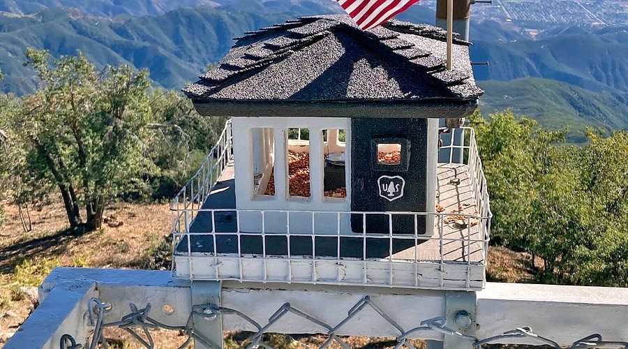 Adrianne, Lisa, Julia, Melissa and Adrianna from Glendora and Orange County enjoyed last year’s Brewfest at Tavern Bay Beach Club so much they couldn’t resist attending this year’s event. (Photos by Douglas W. Motley) Miniature lookout tower with American flag on fence.