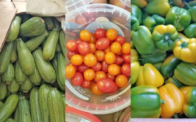 Feeding hope by distributing fresh produce