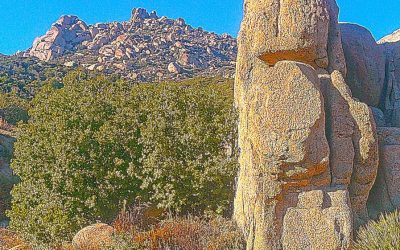 LET’S GO HIKING – The Pinnacles Trail