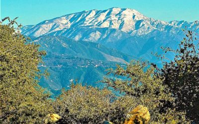 LET’S GO HIKING – Ponderosa Trail