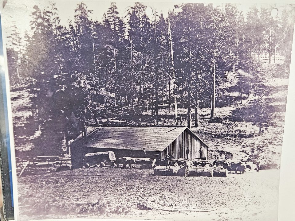 The Lake Arrowhead New Friends of the Library,Russ Keller,Alpine Mountaineer Newspaper,Mountaineer newspaper,Mountain News,Physical Newspaper,Lake Arrowhead News,Lake Arrowhead Mountain News