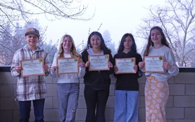 Shaping young writers