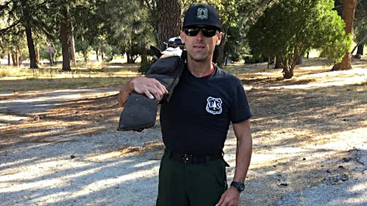 Forest ranger carrying a heavy load in park.