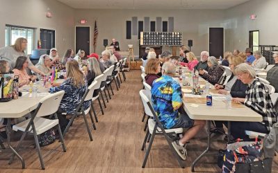 Chickens, daubers and more – Bingo!