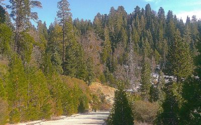 LET’S GO HIKING — Arrowhead Ridge