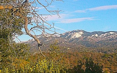 LET’S GO HIKING – Rouse Ranch Road