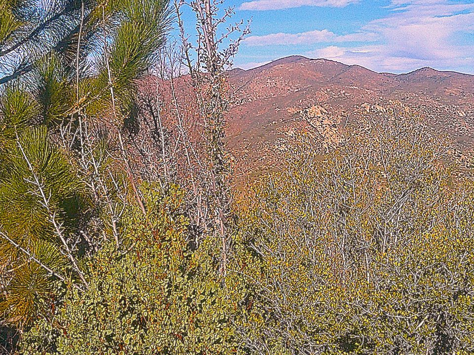 More than two miles into the outbound leg of this hike, views of mountains to the northeast reveal that they’re almost totally devoid of trees.