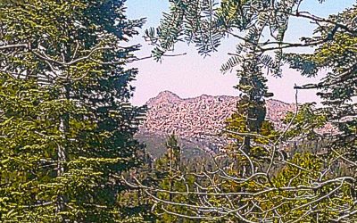 LET’S GO HIKING — Dogwood Campground