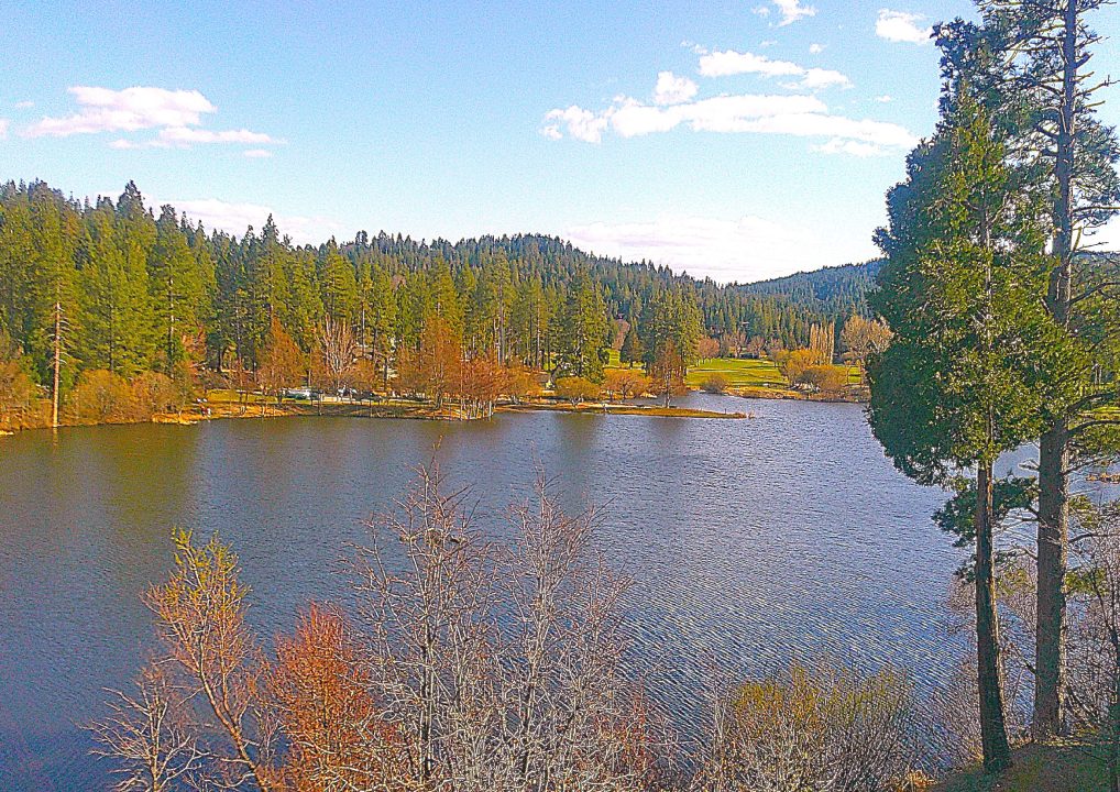 Serene lake surrounded by forest and mountains.