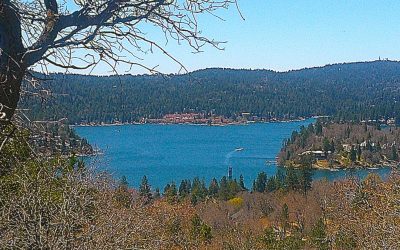 LET’S GO HIKING — Old Sawmill Road