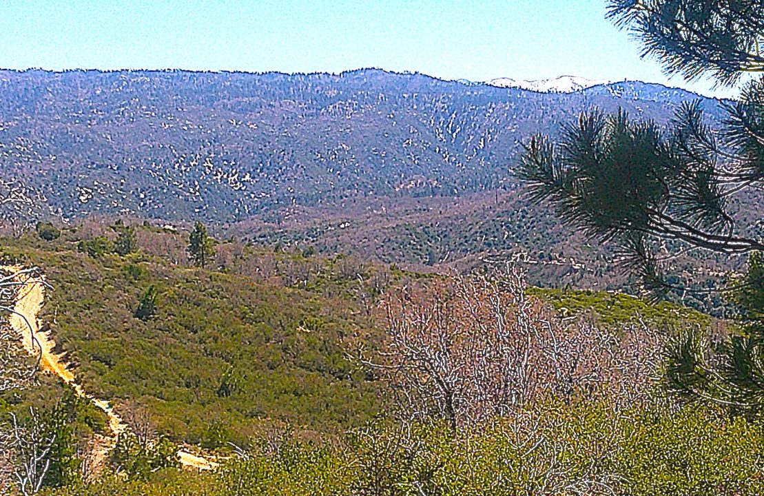 Hiking San Bernardino Mountains,Hiking,TIM WILCOX,Old Sawmill Road,Hiking Trails Lake Arrowhead