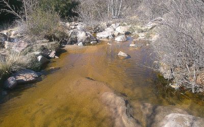 LET’S GO HIKING — Deep Creek Trail