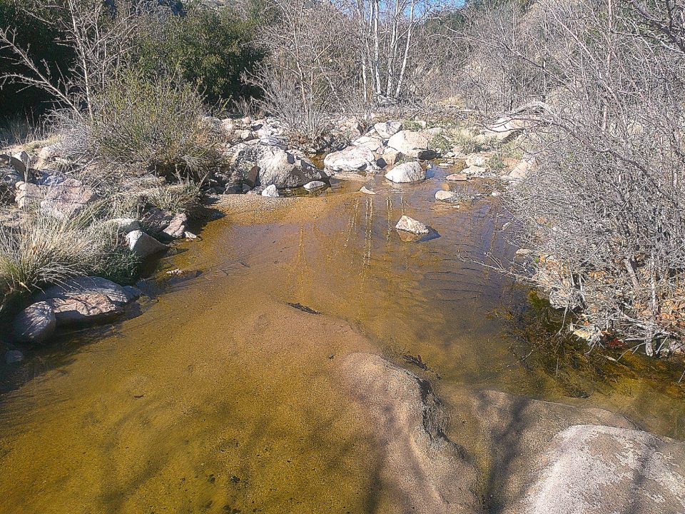 Stream with rocks and dry bushes