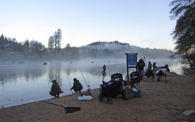 Trout derby lures over 500 anglers