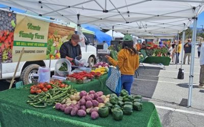 Fresh fruits, veggies and more at the market