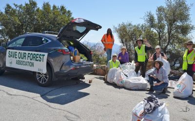 Cleaning up the highway