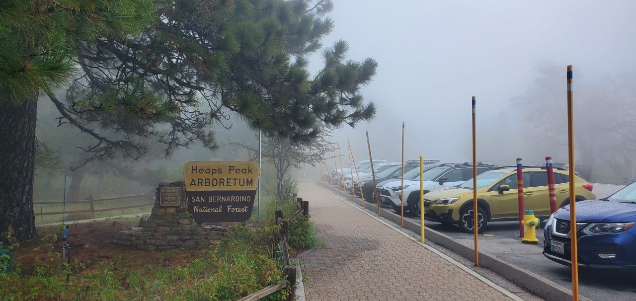 Mountain News,Alpine Mountaineer Newspaper,News,Latest News,San Bernardino Mountain News,The Heaps Peak Arboretum,San Bernardino Forest Preserve
