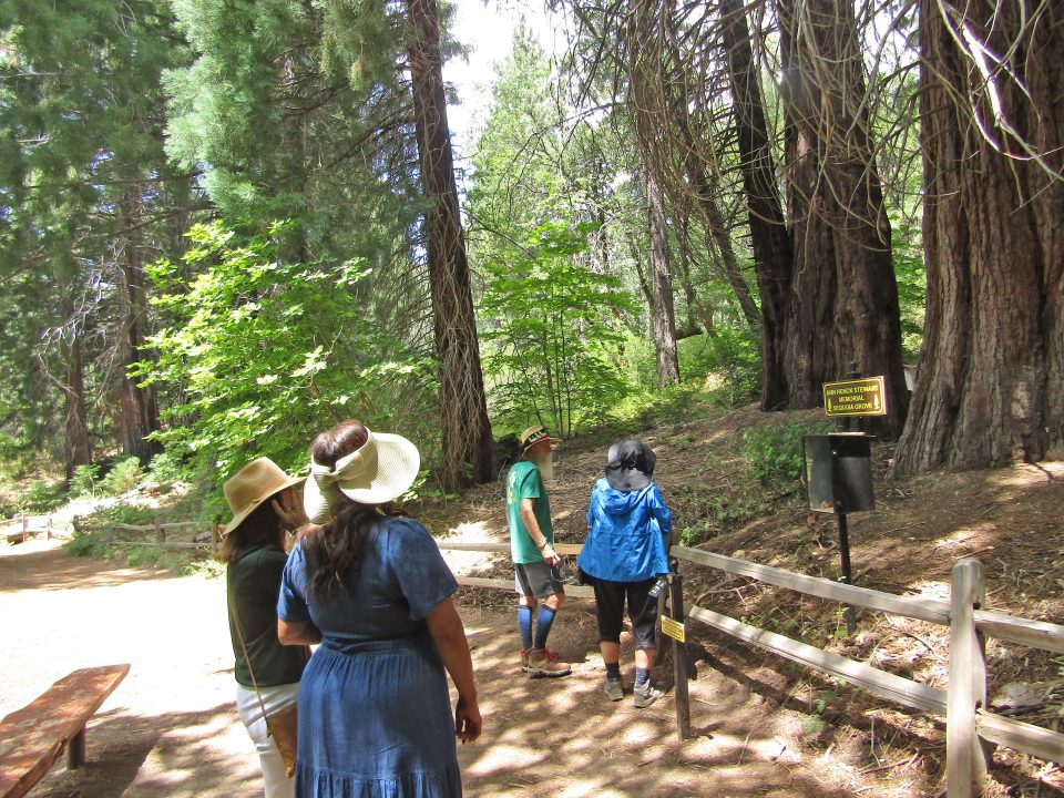 Adrianne, Lisa, Julia, Melissa and Adrianna from Glendora and Orange County enjoyed last year’s Brewfest at Tavern Bay Beach Club so much they couldn’t resist attending this year’s event. (Photos by Douglas W. Motley) Visitors exploring a forest trail with tall trees.
