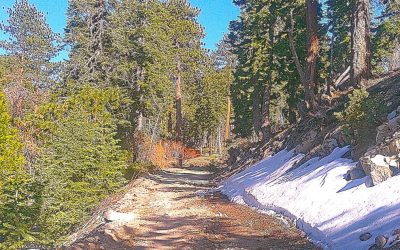 LET’S GO HIKING — Green Valley Campground Road