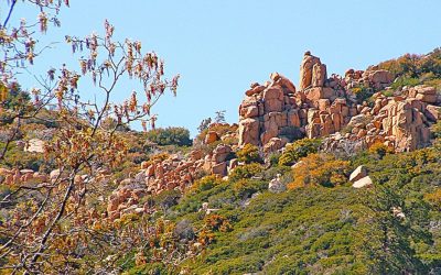 LET’S GO HIKING — Pilot Rock Road
