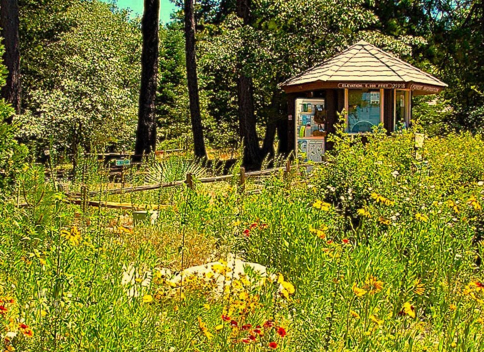 Hiking,Outdoors,Lake Arrowhead Hiking Trails,San Bernardino Mountains Hiking Trails,Green Valley Lake,Silverwood Lake,Mountain News,Alpine Mountaineer Newspaper