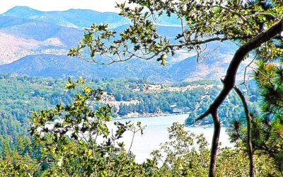 LET’S GO HIKING — Will Abell Memorial Trail