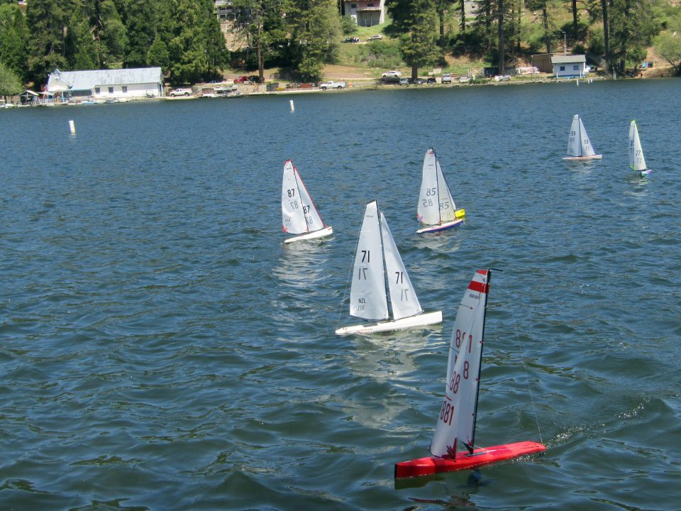 Remote-controlled sailboats racing on a lake